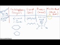 Exploring the Four Types of Macromolecules