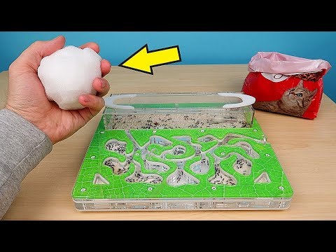 Реакция Муравьев на Снег и Кошачий корм! Снег в муравейнике! alex boyko