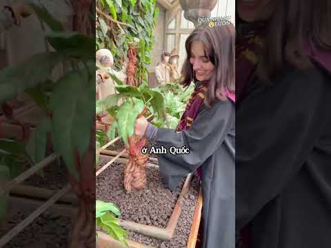 Cây biết khóc?
