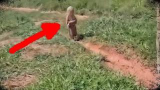 Esse Homem Filmou Algo que Ninguém Está Conseguindo Acreditar!
