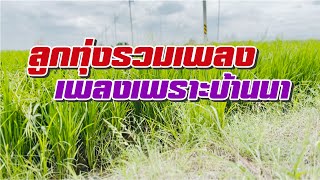 ลูกทุ่งรวมเพลง เพลงเพราะบ้านนา