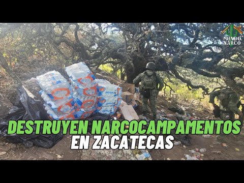 ¡Golpe al crimen! Cuatro campamentos destruidos en Villanueva, Zacatecas