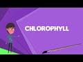 Chlorophyll and Its Properties