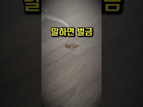 재판장에서의