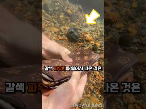 진짜 100% 깜짝 놀랄꺼에요?!😱 #강아지 #멍멍이 #재미있는