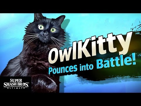 Smash Bros with a Cat