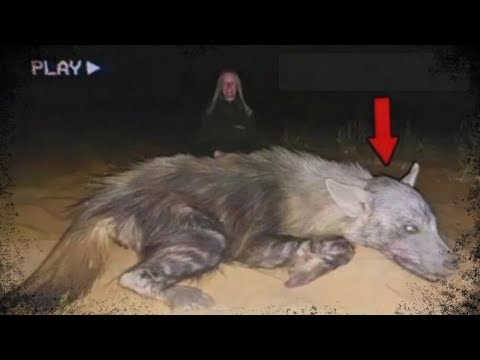 VEJA ISSO ELE ENCONTROU UMA CRIATURA QUE ESTAVA EM UM BOSQUE VÍDEOS ASSUSTADORES DE TERROR REAL