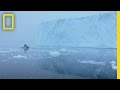 Minky Whales and Antarctic Sounds