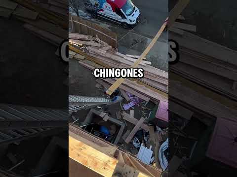 ESTO ES MUY COMUN EN NUESTRA RAZA