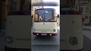 #Oldtimer #Bus #treffen #Bernau bei #Berlin #Obus #Nostalgie #DDR #historic #oldschool #history