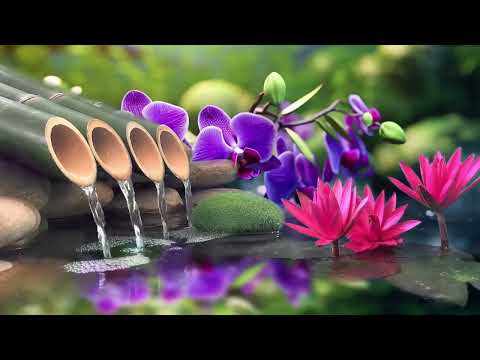 Relaxing Piano Music Sleep Music with Gentle Water Sounds for Meditation and Calm