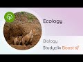 Ecology Concepts and Definitions
