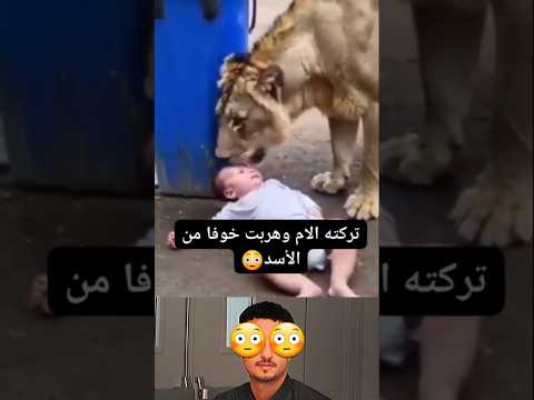 الام تركت طفلها وهربة خوفاً من الاسد 😳شاهد😳😳😳