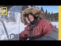 Caribou Hunting Challenges
