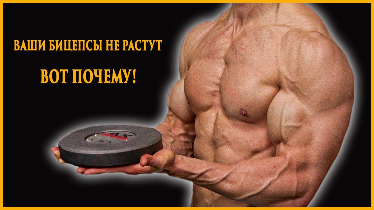 Ваши бицепсы не растут (и вот почему)