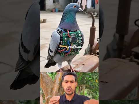 বানানো পাখি।
