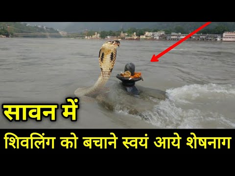 जब बाढ़ से शिवलिंग को बचाने स्वयं आए शेषनाग सब हुए हैरान | Mahadev ke chamatkar | shiv chamatkar