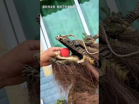 🐲😳 मैंने एक असली ड्रैगन  बनाया! 🐉😲💥