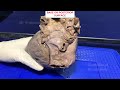 Heart Anatomy and Function Assessment