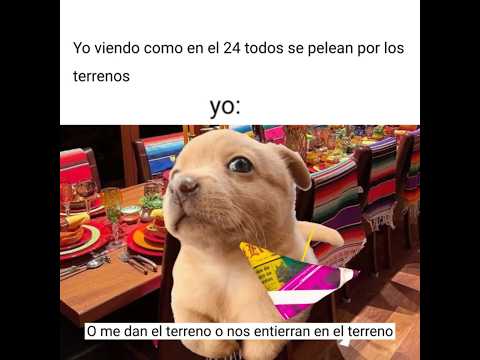 Feliz Navidad 🎄