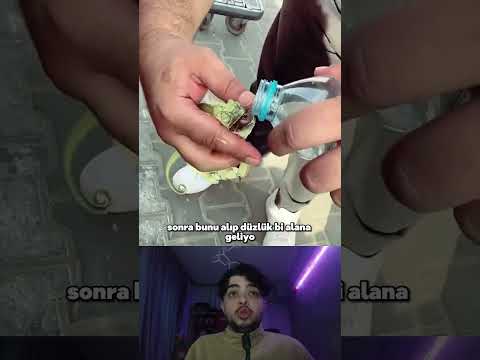 Hayata Geri Döndü! 🦎 Buna Kimse İnanmazdı..