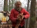 Timber Harvesting and Log Movement