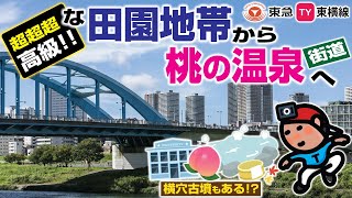 【探索ラン#63】《超超超高級!!》な田園地帯から 桃の温泉街道へ｜東急東横線