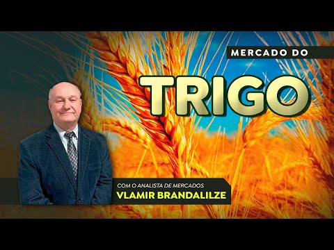Trigo importado pode chegar a 8 milhões de toneladas em 2026; custo será maior.