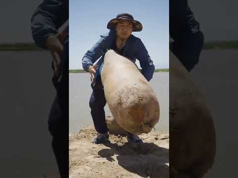 Yinchuan Huangsha Ancient Ferry #shorts #creativity