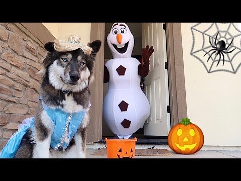 Kakoa's Pretend Play Halloween Trick or Treating!