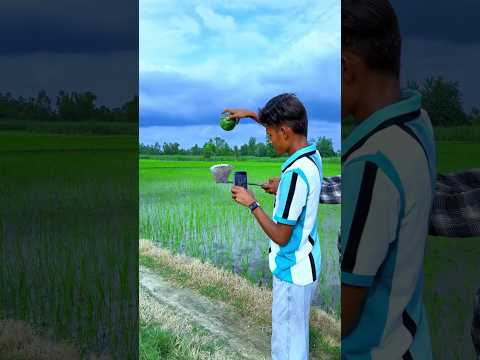 Nature amazing fruit creative videography #farming #nature #videography #creative #shorts