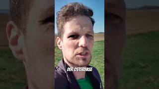 Mein Osterlauf 2026 #shorts #marathon #laufen #training #disziplin
