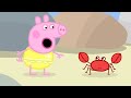 Peppa Pig Beach Adventures