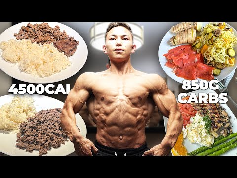 FULL DAY OF EATING (4,452 Calories, 850g Carbs) || Tristyn Lee Mock Peak