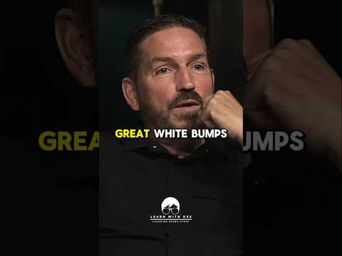What Would You Do if a Great White Bumps You?