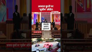 SC Decision on Street Dogs: आवारा कुत्तों पर 'सुप्रीम' ऑर्डर! | #supreme #breakingnews #shorts