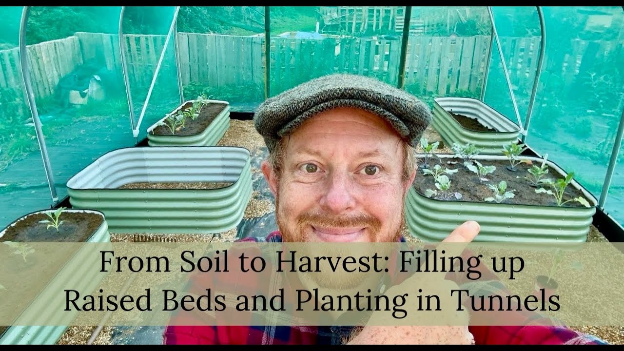 From Soil to Harvest: Filling up Raised Beds and Planting in Tunnel