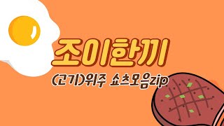 고기위주 쇼츠 모음집