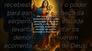 AVE MARIA, CHEIA DE GRAÇA 🙏#shorts#catolicosdeverdade#missa #avemaria#nossasenhora #tradiçãocatólica