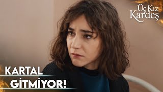 Derya Müjdeli Haberi Alıyor! - Üç Kız Kardeş Özel Klip