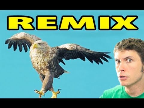 I'M A BIRD MOTHA' F***** REMIX!!
