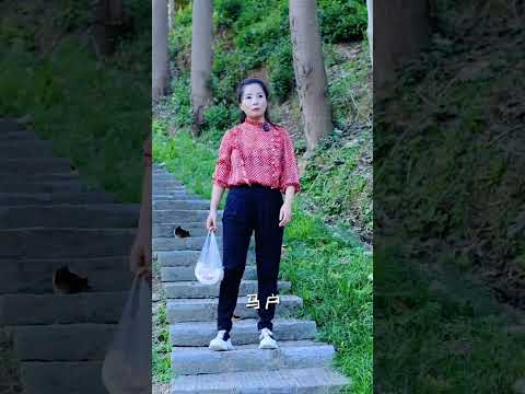 Like ❤️ si tu veux la suite, le chien mérite un like ❤️ non ? #pourtoi