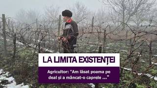 „Voi scoate vița-de-vie. Strugurii moldovenești nu trebuiesc nimănui.”