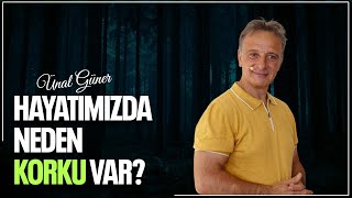 NEDEN KORKU VAR? | Hayatın Mükemmel Sistemi ve Trafikteki Rolümüzü Anlamak | Ünal Güner