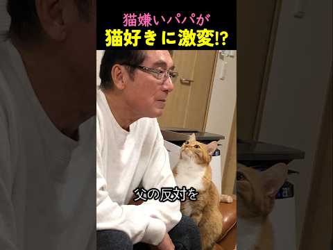 ❤️1800万❤️猫嫌いパパが猫好きに激変した瞬間