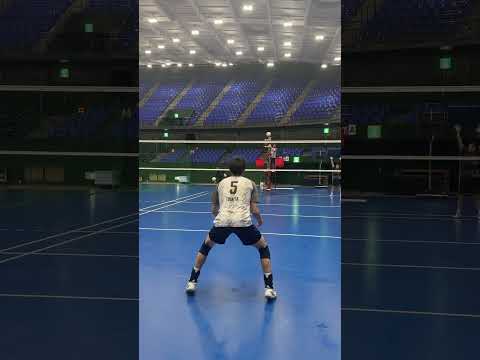 machine reception🏐#お久しぶりです #守備職人 #富田将馬 #セッター誰