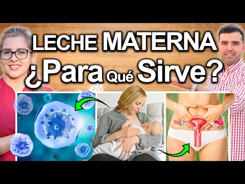 LA IMPORTANCIA DE LA LECHE MATERNA - Si Tu Mamá No Te Dió Leche Puedes Enfermar