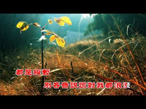 我的視訊貪婪-karaoke 字幕