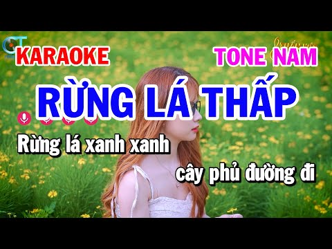 Karaoke Rừng Lá Thấp Tone Nam (Bm ) Nhạc Sống Tuấn Kiệt