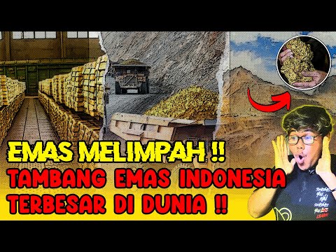 EMAS DI FREEPORT BERAPA BANYAK?